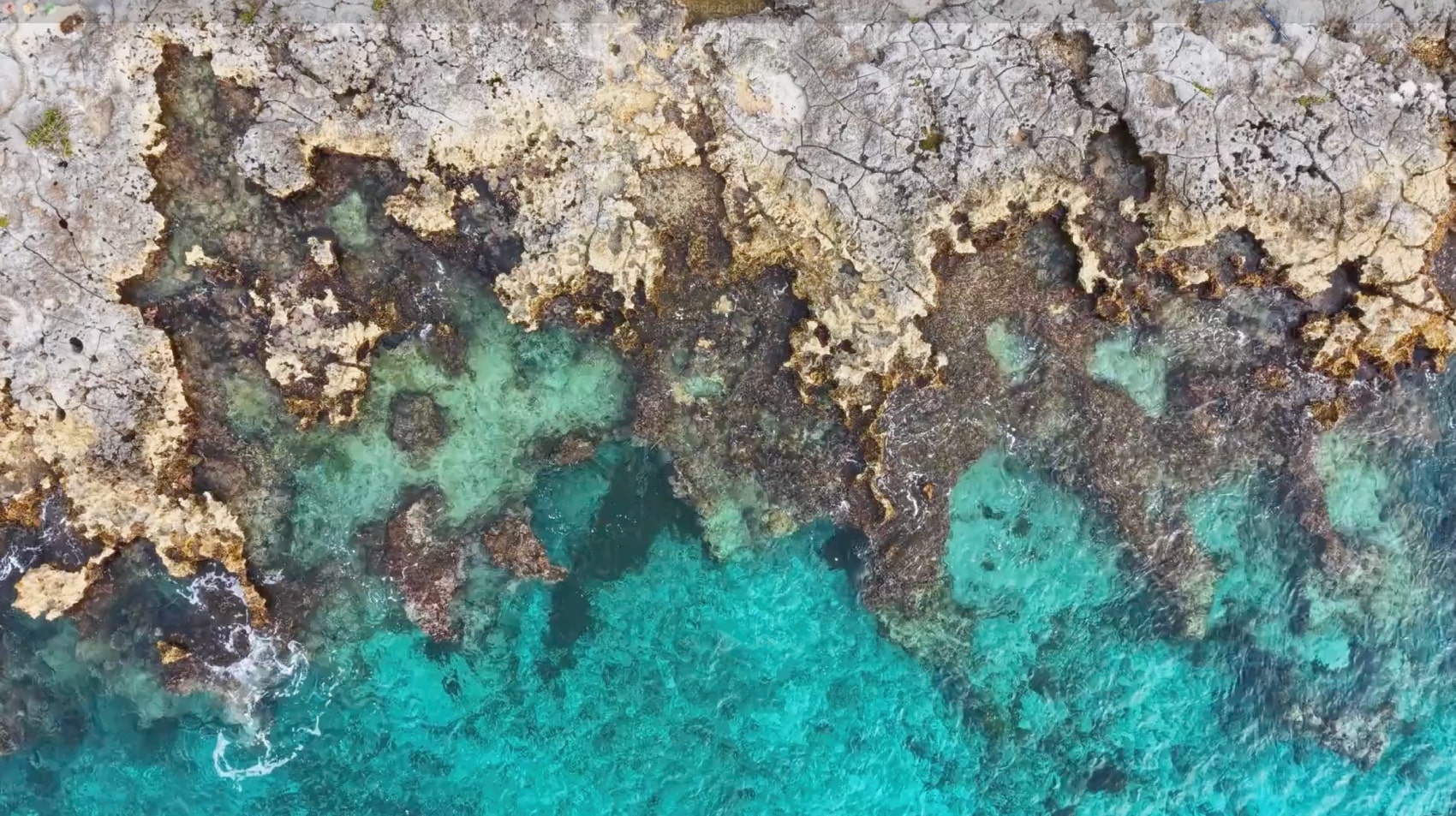 ANTILIA COZUMEL